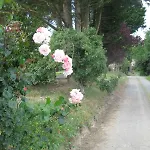 Mont Pley * Esson