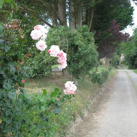 Mont Pley * Esson
