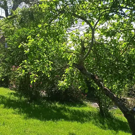 Mont Pley Διαμέρισμα Esson